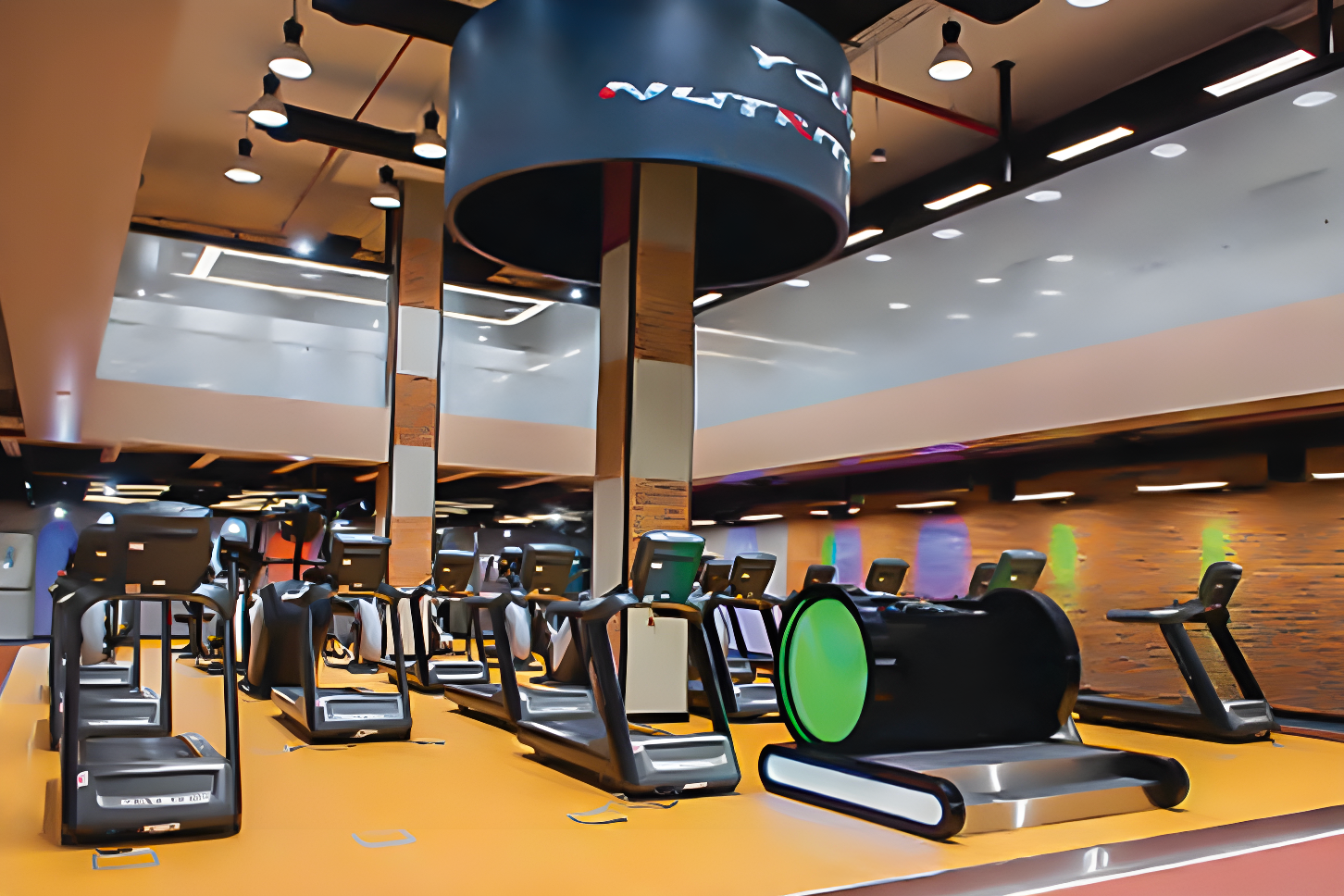 Golds Gym